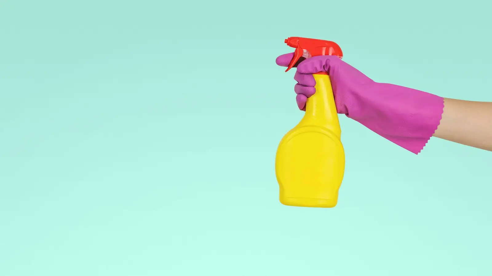 Cleaning cloths, spray bottle and gloves